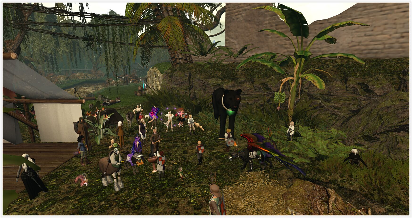 bards day 5-005